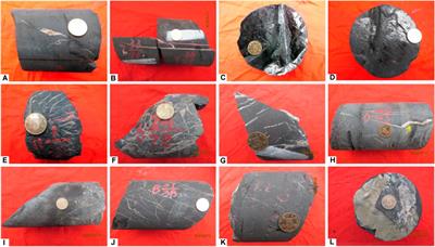 Characteristics and Main Controlling Factors of Fractures within Highly-Evolved Marine Shale Reservoir in Strong Deformation Zone